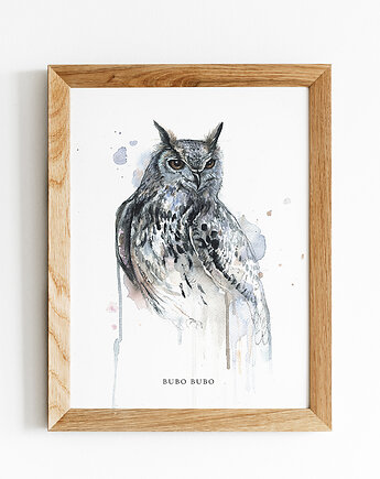 Puchacz, 30x40 cm, JUST ILUST Justyna Małczak