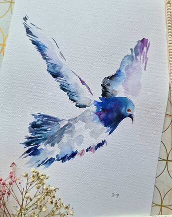 Akwarela gołąb, Wiktoria Borys Art