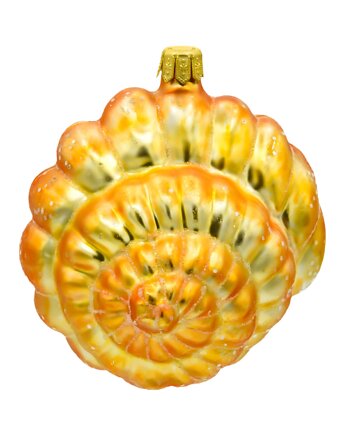 Bombka choinkowa: Muszla spiralna, Syn Bombkarza