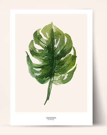 Monstera - Plakat botaniczny na ścianę z kwiatem, Bajkowe Obrazki