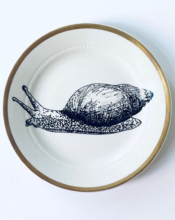 Ślimak, arent plates