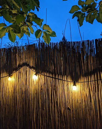Żarówki LED do girland świetlnych ogrodowych, Epic Light