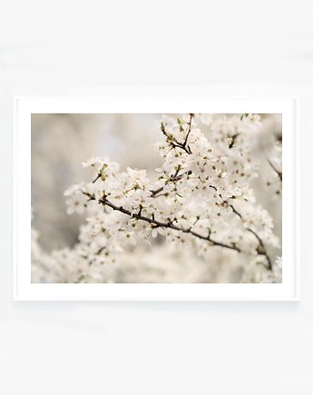 Wiosenne drzewo  Plakat, Katarzyna Kątna