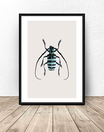 Plakat na ścianę z niebieskim żukiem 50x70 (500mm x 700mm), scandiposter