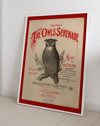 Plakat Vintage Retro Owl, Storelia