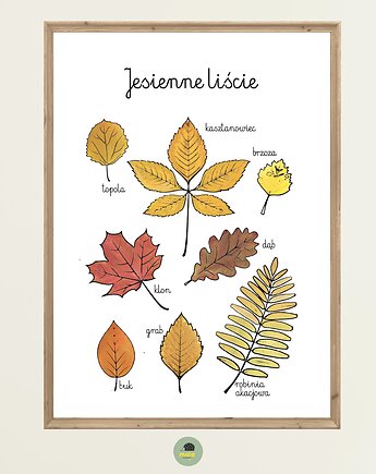 Plakat Edukacyjny Jesienne liście Montessori dla dzieci, Maja Montessori
