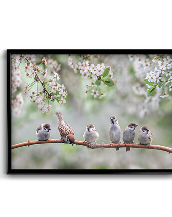 Plakat Blossom, Bury Lis