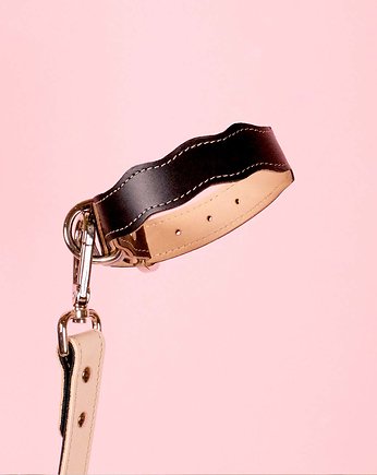 New Wave Collar, MADZAG DOG