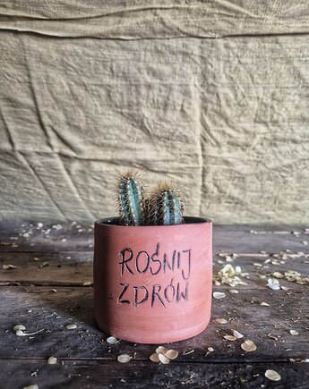 DoniczkaROŚNIJ ZDRÓW, osłonka na sukulenciaki, doniczka śmieszny napis, Fiona Ceramics