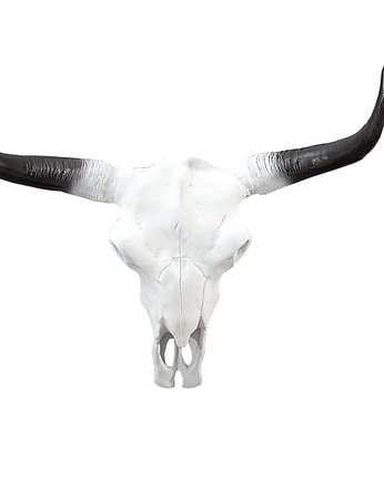 Poroże rogi Matador białe aluminium 70cm, Home Design