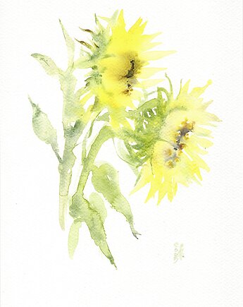 Oryginalna akwarela. Słoneczniki, alquadro