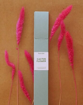 Cactus Flower, MAKAZEK