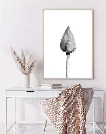 PLAKAT KWIAT czarno biały zdjęcie, black dot studio