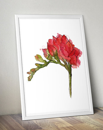 Plakat- ilustracja FREZJA 50x70cm, Illunova