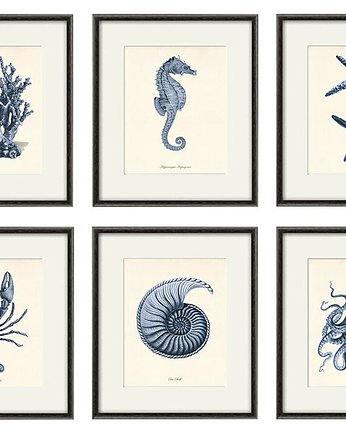 Zestaw 6 grafik koralowiec reprodukcja morskie, Victorian wall art