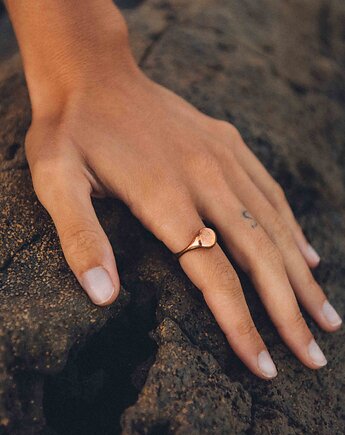 SYGNET empty / copper, Filimoniuk