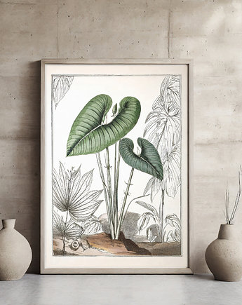 Plakat botaniczny, ArchiBotanica