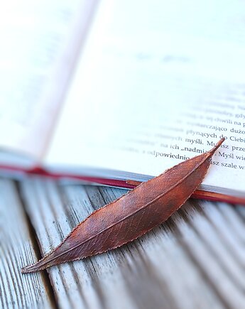 Liść wierzby III wisior miedziany, Treemasters Copper Jewelry