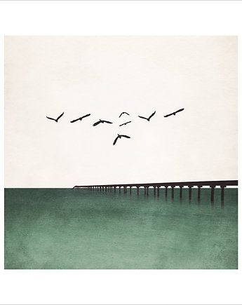 Birds II Plakat, KNOR