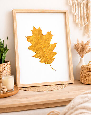 Obraz Botaniczny. Prawdziwy Liść Dębu. Złoty Liść Dąb 20x30cm. Unikat, Kuźnia Obrazów
