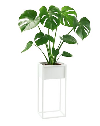 Kwietnik Metalowy CUBO 80x40cm biały, JAKPOLDESIGN