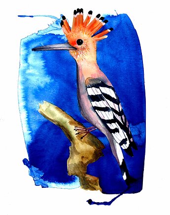 Plakat "Dudek", Warsaw Birds