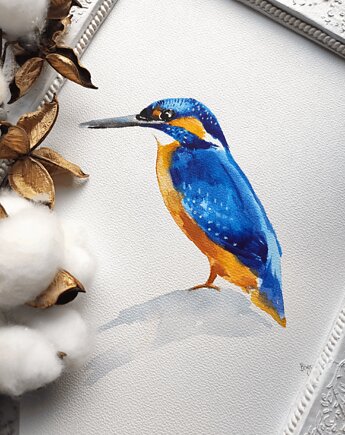 Akwarela zimorodek, Wiktoria Borys Art