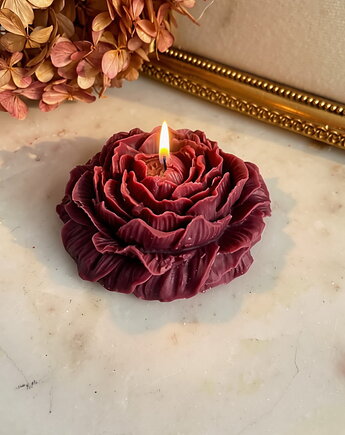 Świeca sojowa ekologiczna dekoracyjna piwonia peonia "Burgundy Touch" 80x35mm, Coccola JEWELLERY
