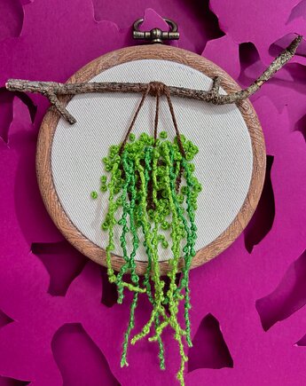 Haft przestrzenny na tamborku starzec - Senecio Rowleyanus, MowiedoCiebie