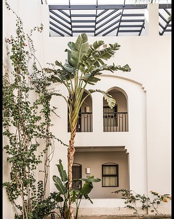 Plakat "Tropikalna palma przed białym budynkiem", Fotobloki and decor