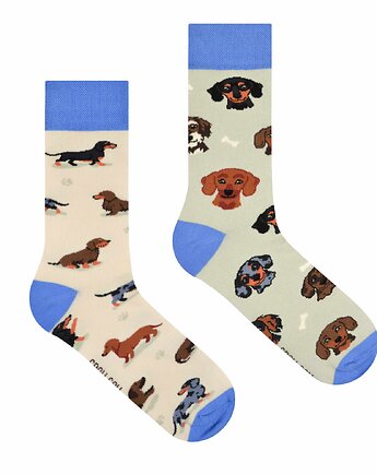 Skarpetki Jamniki Psy, Spox Sox