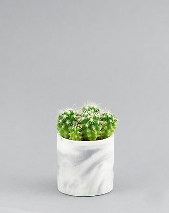 MINI doniczka na kaktusa 6 cm, GREEN FEVER Concrete Decor