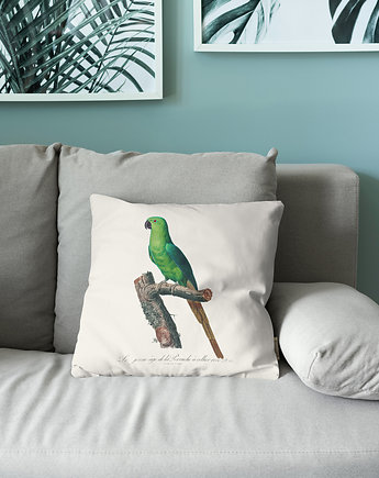 Poduszka - Papuga obrączkowana, ASARTEM