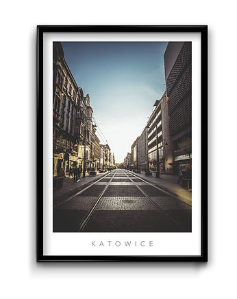 Plakat Katowice No.2, Bury Lis
