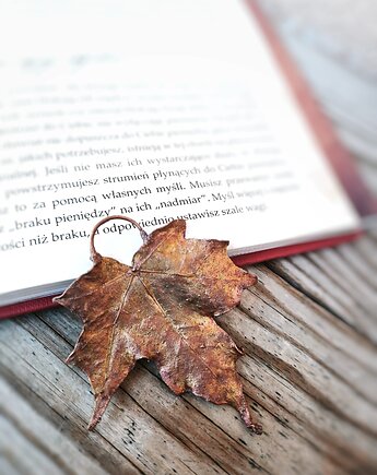 Liść miedziany Klon Zwyczajny VI, Treemasters Copper Jewelry