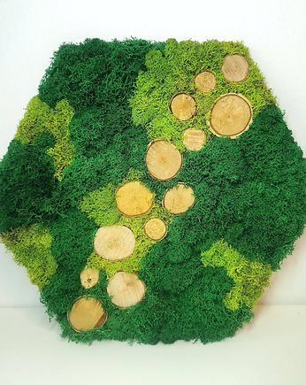 Obraz z mchu heksagon drewno chrobotek reniferowy, Mintique