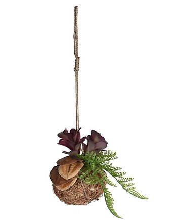 Kwietnik Roślina Wisząca II, MIA home