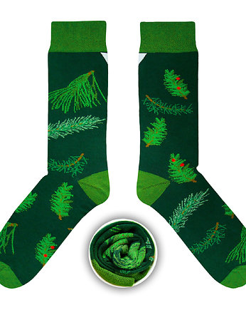 Świerkowo sosnowa choinka, CUP of SOX