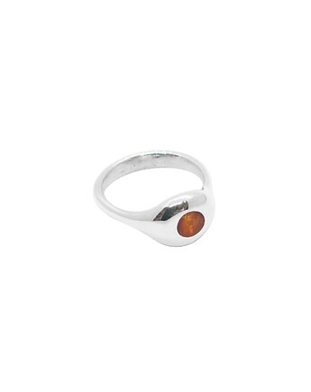 SYGNET amber / silver, Filimoniuk