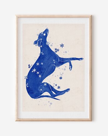 Plakat  - Konstelacja Wielki Pies -  CANIS  Major, Mint In Paper