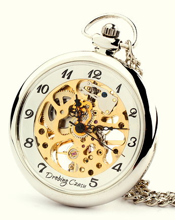 SREBRNY SMOK  - Drobiny Czasu, DROBINY CZASU