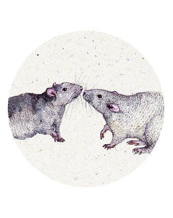 Szczurki- Grafika - Ilustracja na ścianę, OSOBY - Prezent dla ukochanej
