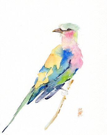 Oryginalna akwarela. Kraska, alquadro