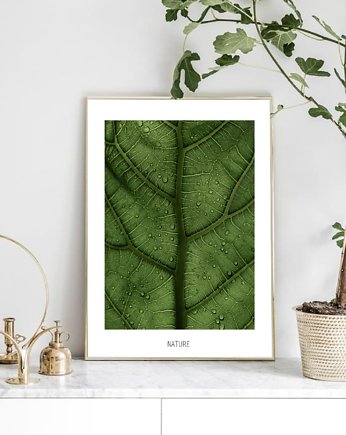 PLAKAT LIŚĆ z rośliną botaniczny Z LIŚCIEM, black dot studio