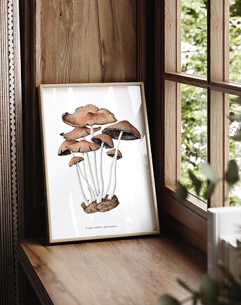Plakat- Grzyby, HERBAROOM
