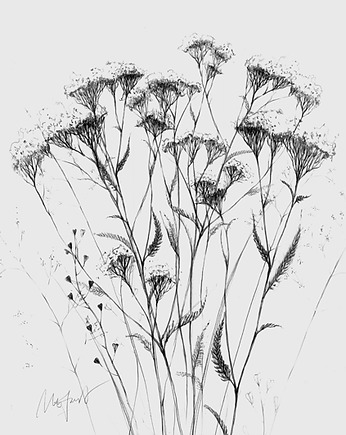 Plakat Krwawnik pospolity, Margo Hupert