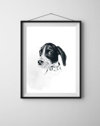 Portret psa na zamówienie - Rysunek do druku, Anka Bednarz