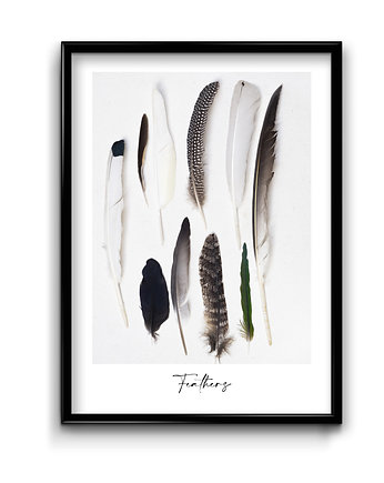 Plakat Feathers, OKAZJE - Prezenty pod Choinkę