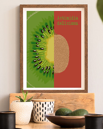 Kiwi - plakat fine art, giclee, minimalmill