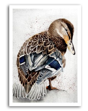 OBRAZ NA PŁÓTNIE -KACZKA  40x60cm, LUdesign gallery